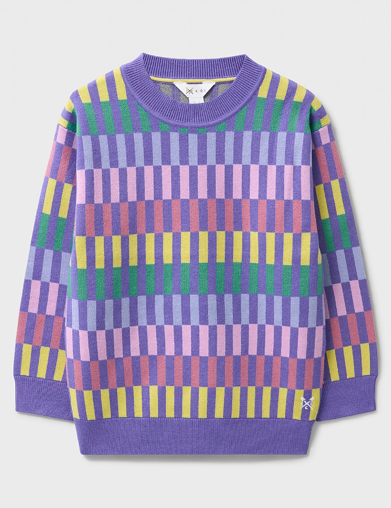 Crew Neck Knitted Sweatshirt in Purple and Multicolour