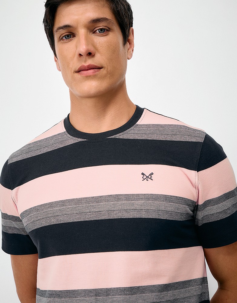 Interest Stripe Oxford Tee in Navy and Pink