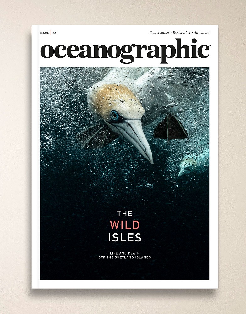 Oceanographic Magazine Issue 22