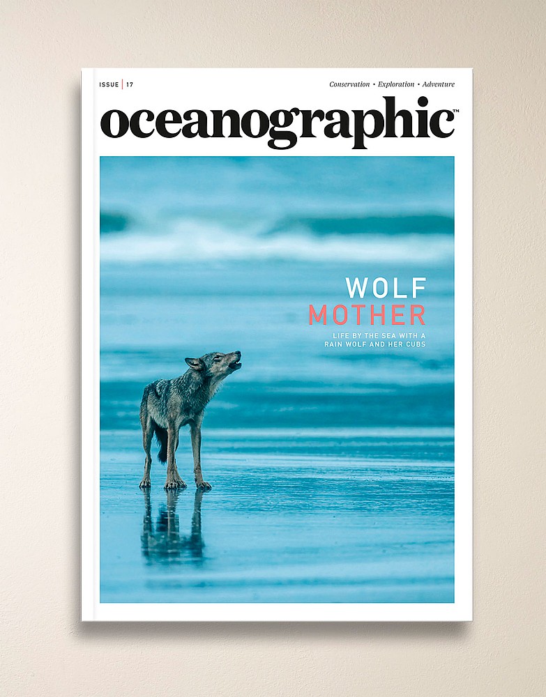 Oceanographic Magazine Issue 17