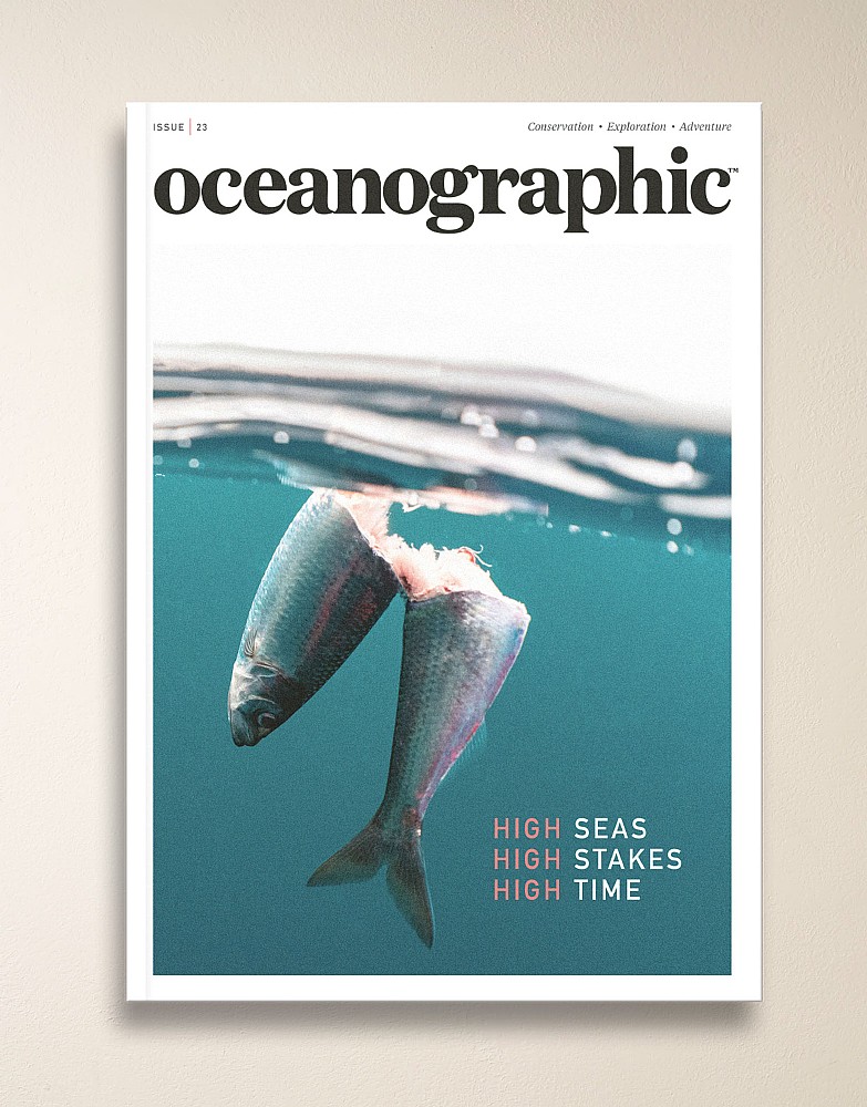 Oceanographic Magazine Issue 23