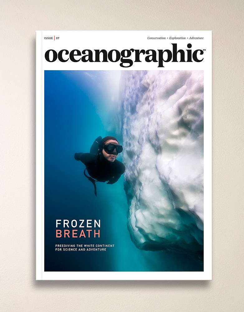 Oceanographic Magazine Issue 7