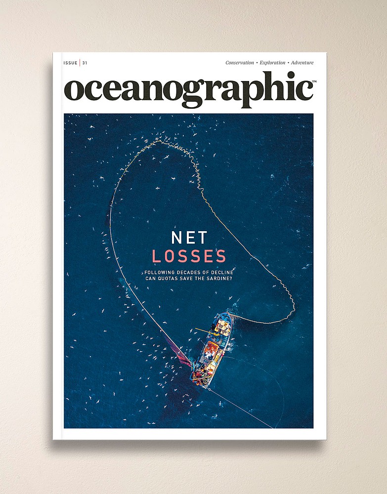 Oceanographic Magazine Issue 31