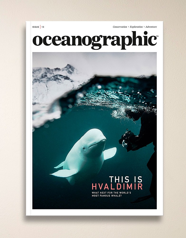 Oceanographic Magazine Issue 13