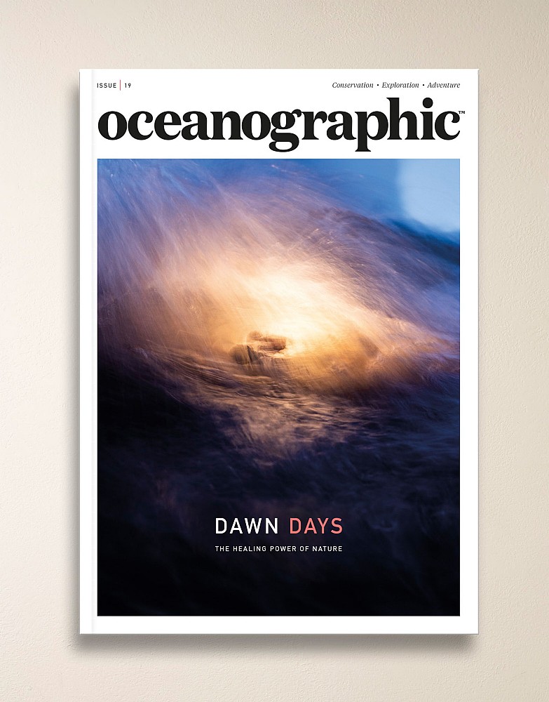 Oceanographic Magazine Issue 19