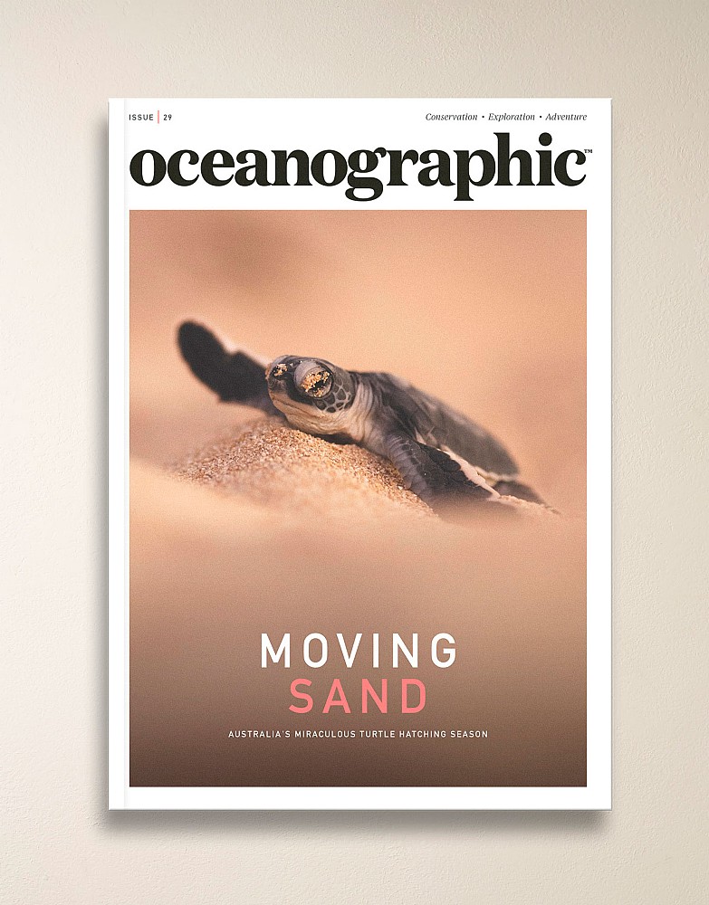 Oceanographic Magazine Issue 29
