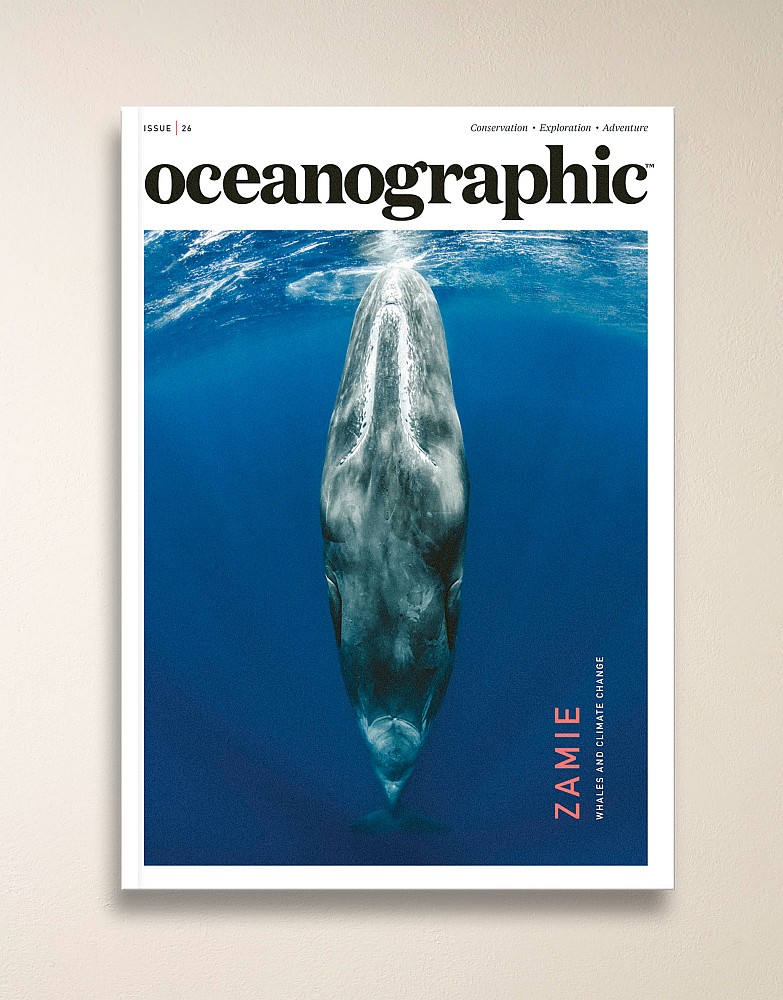 Oceanographic Magazine Issue 26