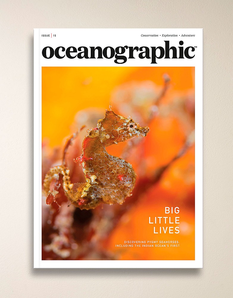 Oceanographic Magazine Issue 15
