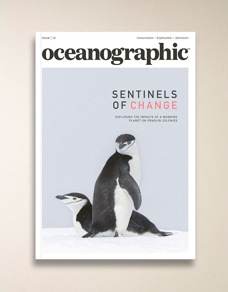 Oceanographic Magazine Issue 32