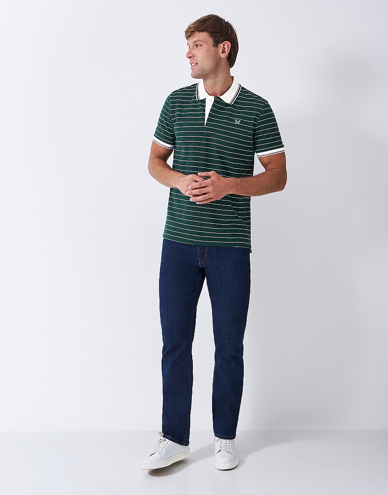 Striped Polo Shirt in Green and White