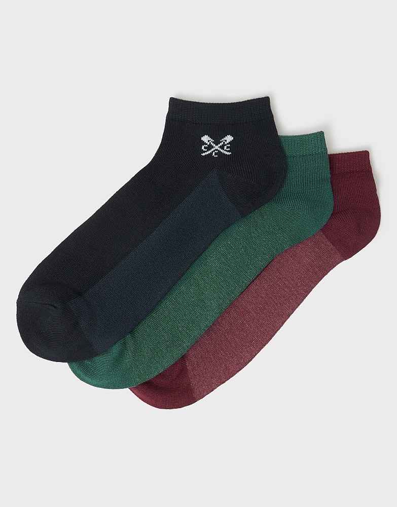 3 Pack Trainer Socks in Navy, Burgundy and Green