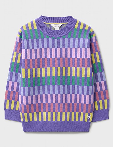 Crew Neck Knitted Sweatshirt in Purple and Multicolour