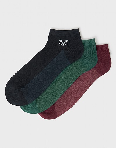 3 Pack Trainer Socks in Navy, Burgundy and Green